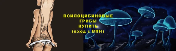 бутират Гусев