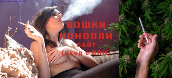 соль ск Гусиноозёрск