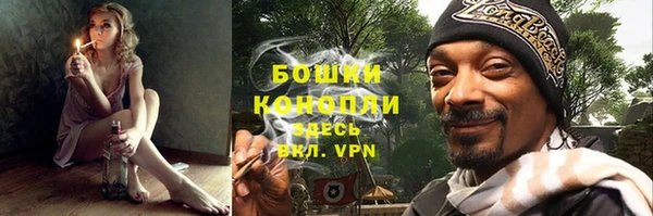 соль ск Гусиноозёрск
