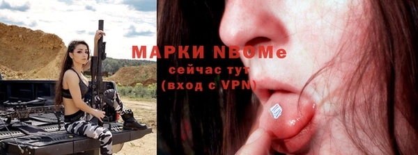 соль ск Гусиноозёрск