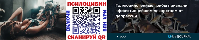 Галлюциногенные грибы ЛСД Можга