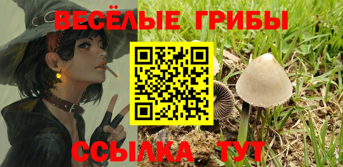 Галлюциногенные грибы мицелий  хочу   Можга  Вход с VPN 